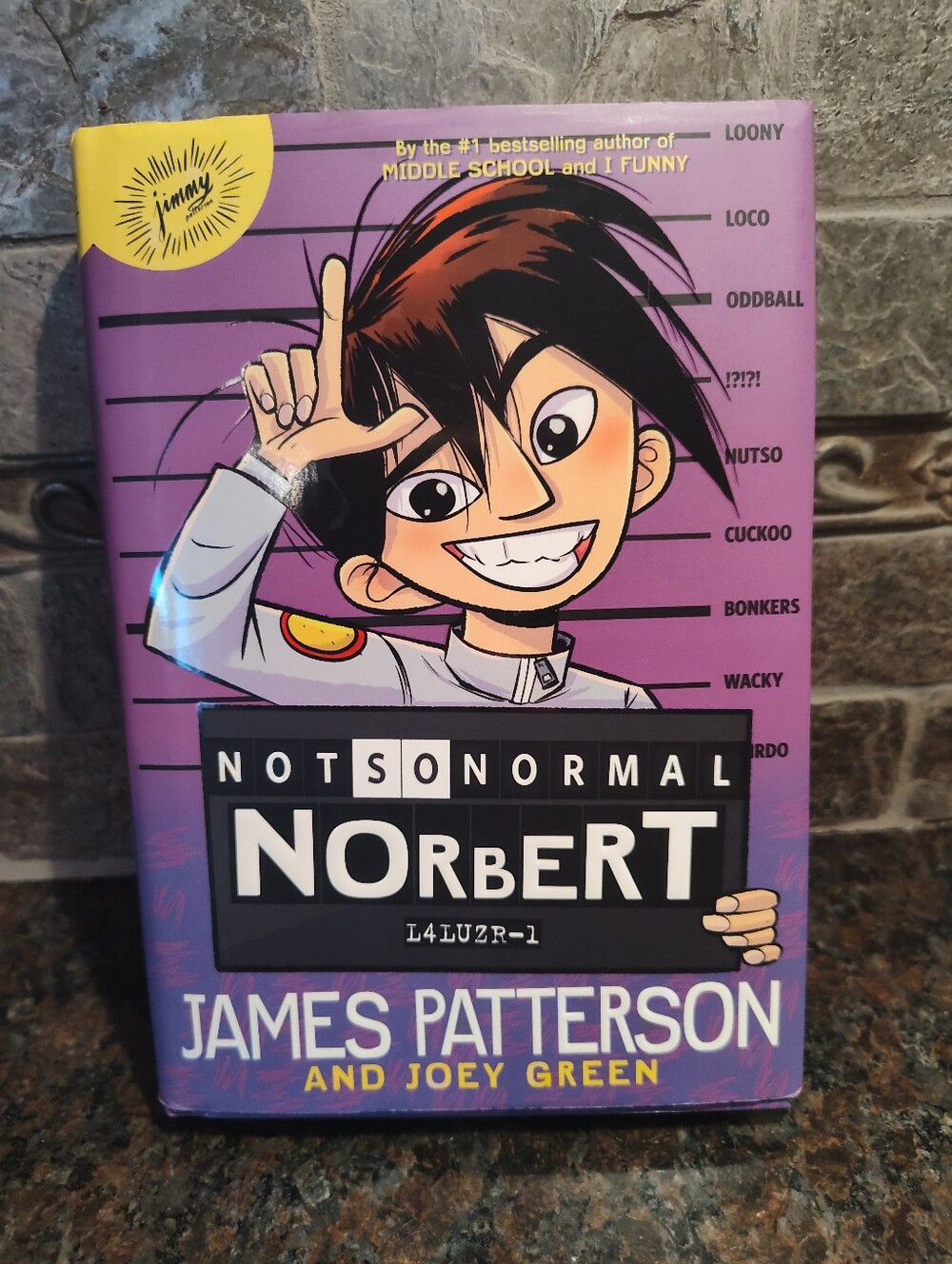 James Patterson Not So Normal Norbert ---HardCover